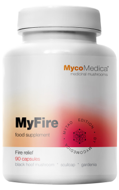 MyFire kopie